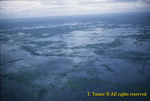 7  high water from chopper.jpg